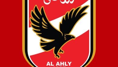 إيقاف-مدرب-الأهلي-مباراتين-وتغريم-150-ألف-جنيه
