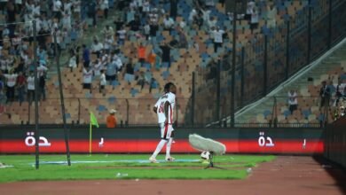 أهداف-مباراة-الزمالك-والبنك-الأهلي.-شيكو-بانزا-يسجل-للأبيض
